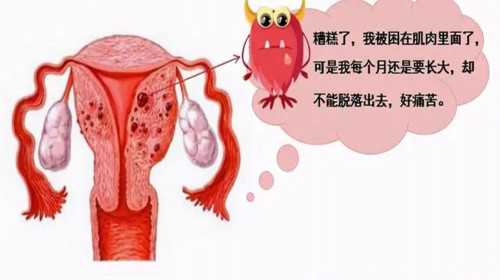重庆做试管的机构如何评价？?,重庆地区哪些医院和机构提供试管助孕服务？