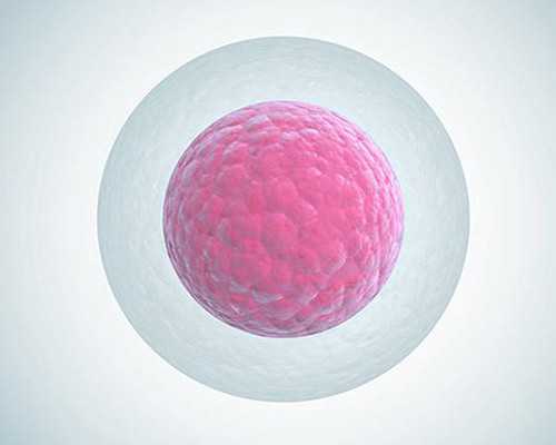 供卵自怀能遗传孕母哪些&哪个供卵医院,正确面对宫颈糜烂