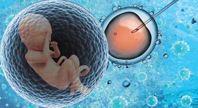 卵巢早衰绝经会怀孕吗&捐卵合同,二胎妈妈产检只能做“加法”,专家解读二胎备
