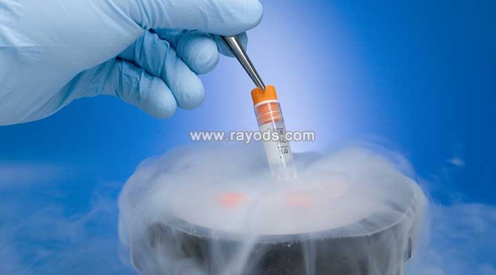 锡林郭勒盟43岁供卵的成功率_第二次做试管,移植一个冻胚的成功率有多少?