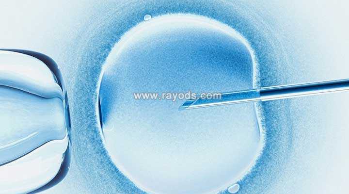 锡林郭勒盟43岁供卵的成功率_第二次做试管,移植一个冻胚的成功率有多少?