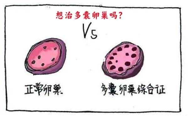 重庆代生供卵平台 重庆三代供卵试管的费用是多少？ ‘营口伊人26周四维看男女准么’
